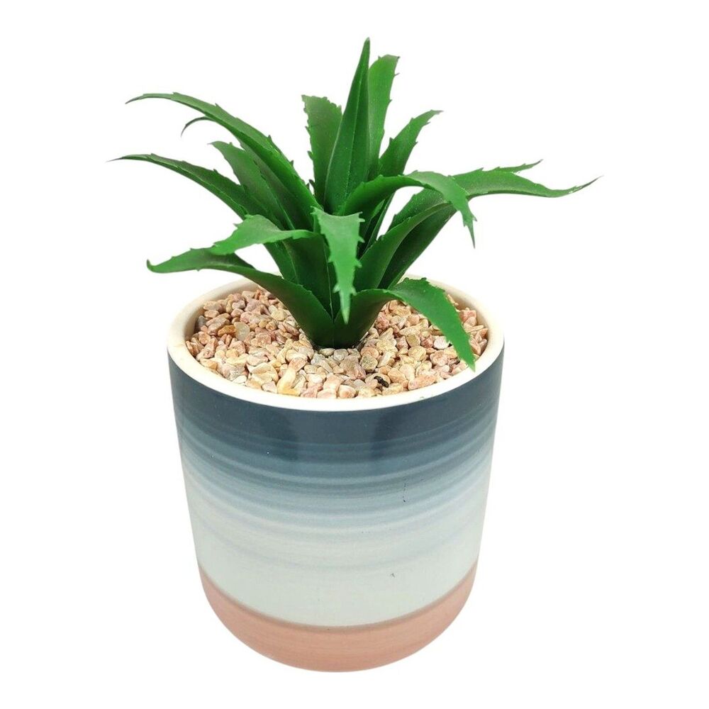 Artificial Succulent Potted Houseplant Cobat Blue White Pink Ceramic Pebbles New
